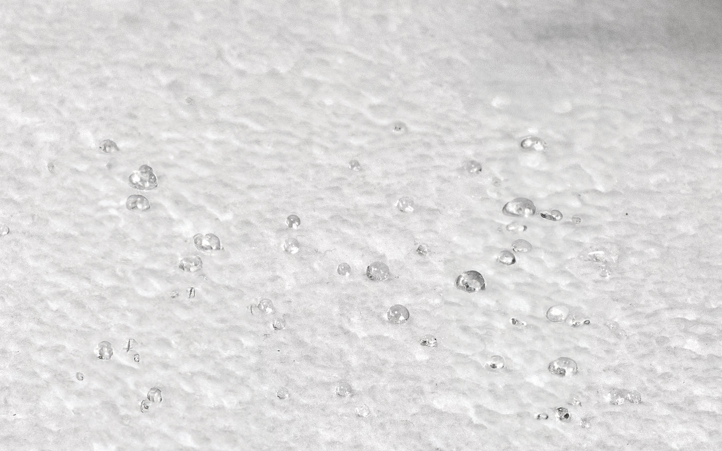 Mattress Protector