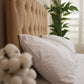 100% Cotton  Fitted Bed Sheet Set